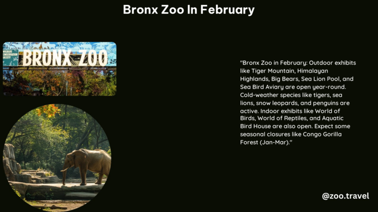 Bronx Zoo in February