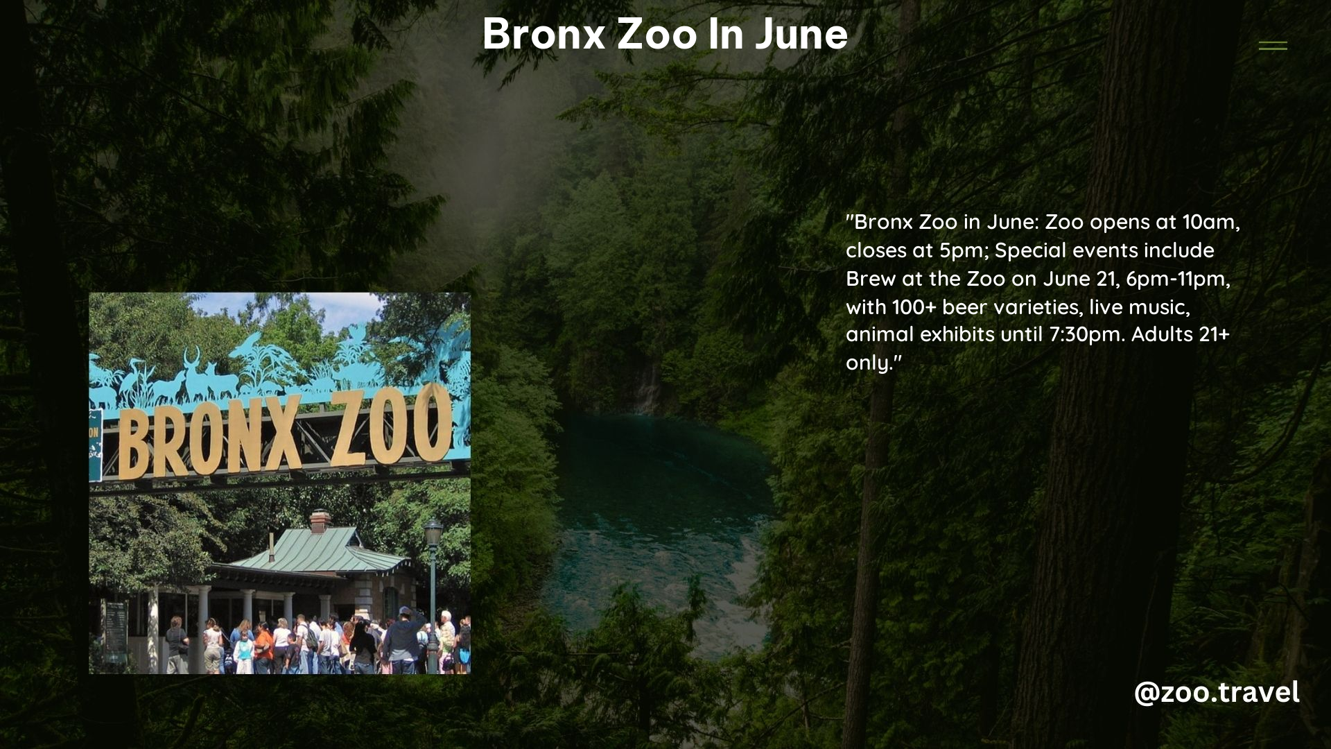 Bronx Zoo in June