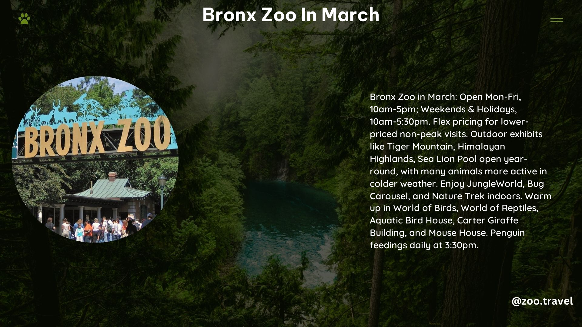 Bronx Zoo in March