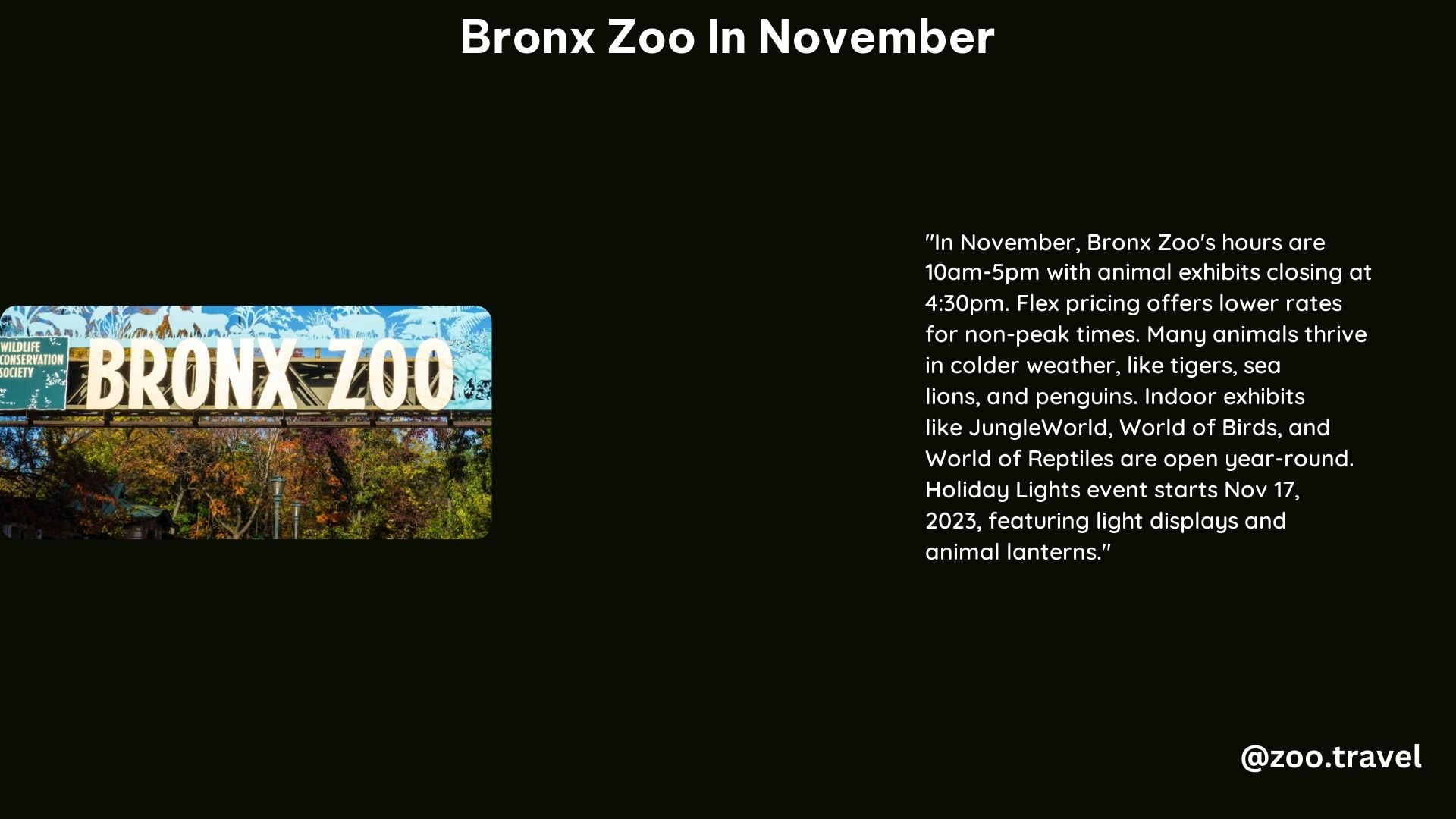 Bronx Zoo in November