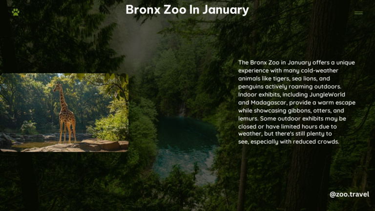 Bronx Zoo in january