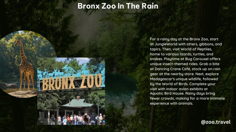 Bronx Zoo in the Rain