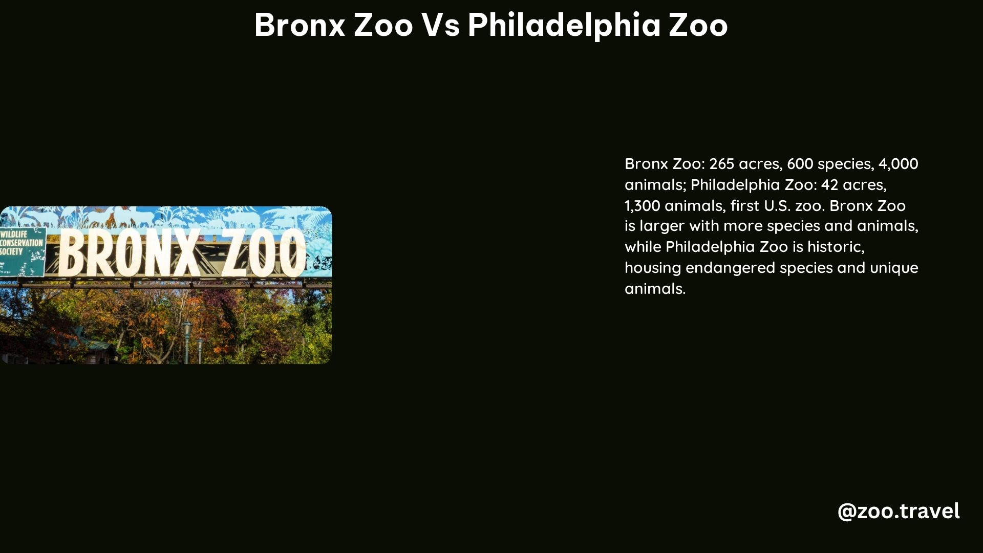 Bronx Zoo vs Philadelphia Zoo