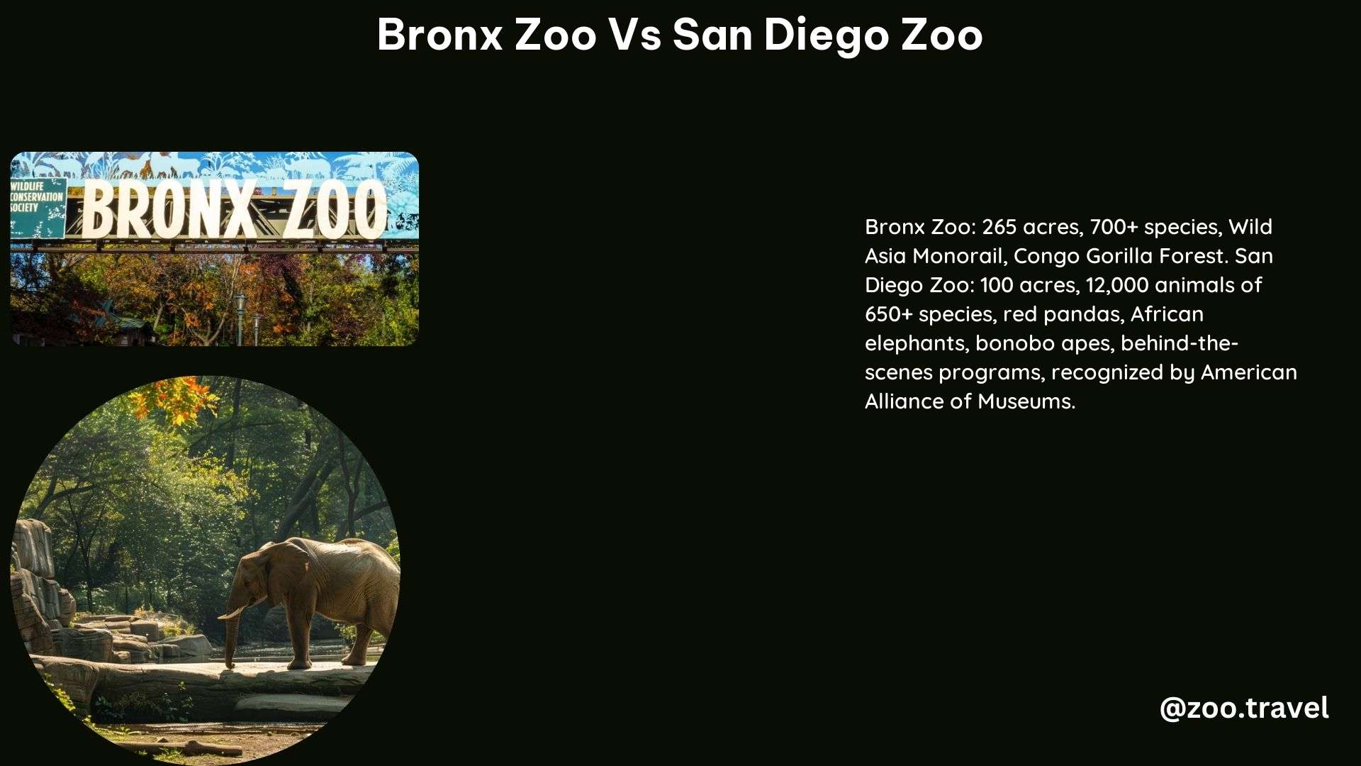 Bronx Zoo vs San Diego Zoo