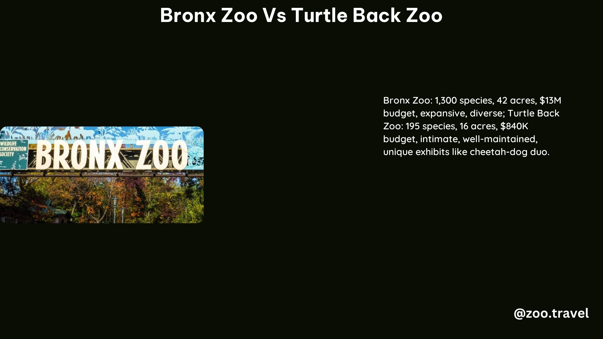 Bronx Zoo vs Turtle Back Zoo