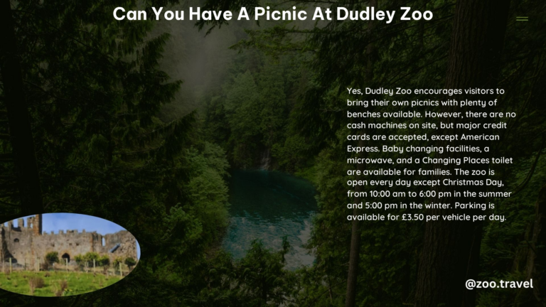 Can You Have a Picnic at Dudley Zoo