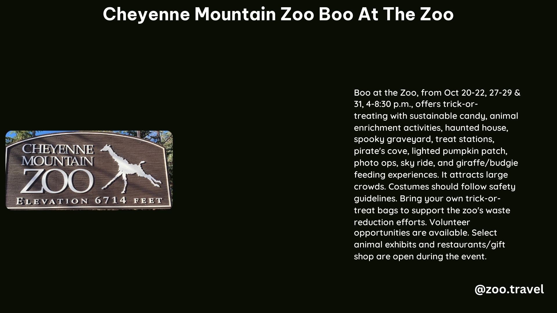 Cheyenne Mountain Zoo Boo at the Zoo