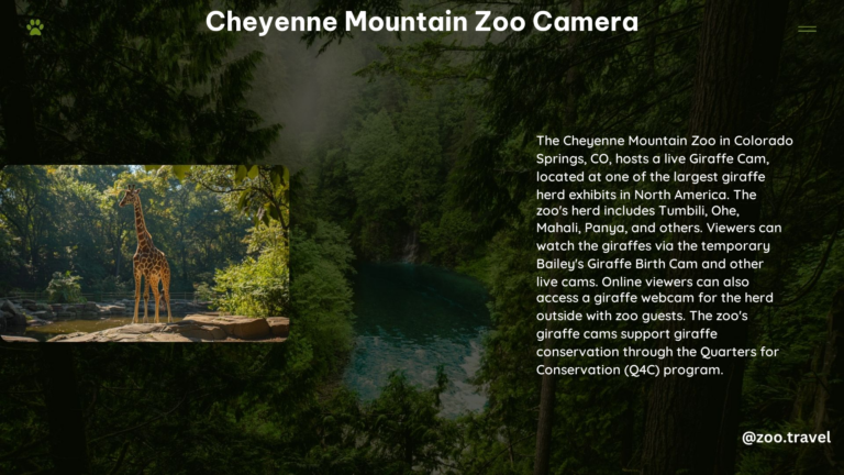 Cheyenne Mountain Zoo Camera