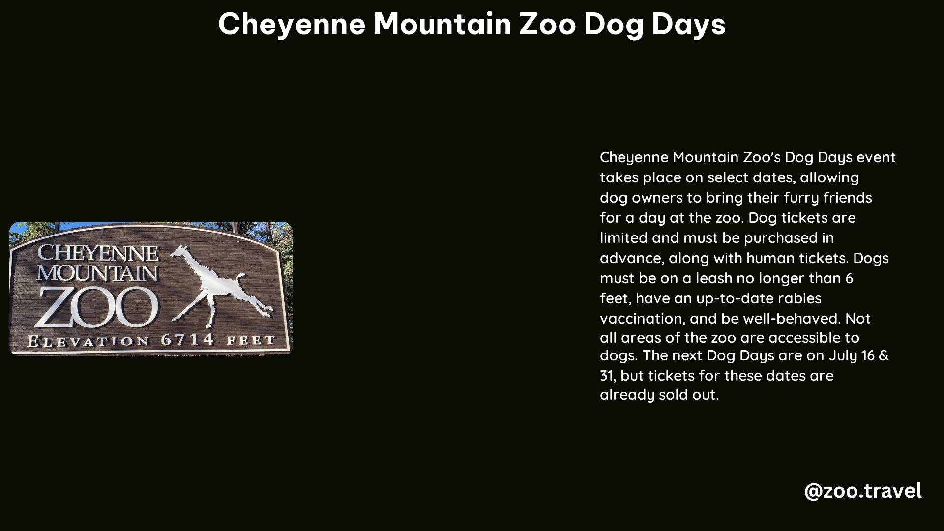 Cheyenne Mountain Zoo Dog Days