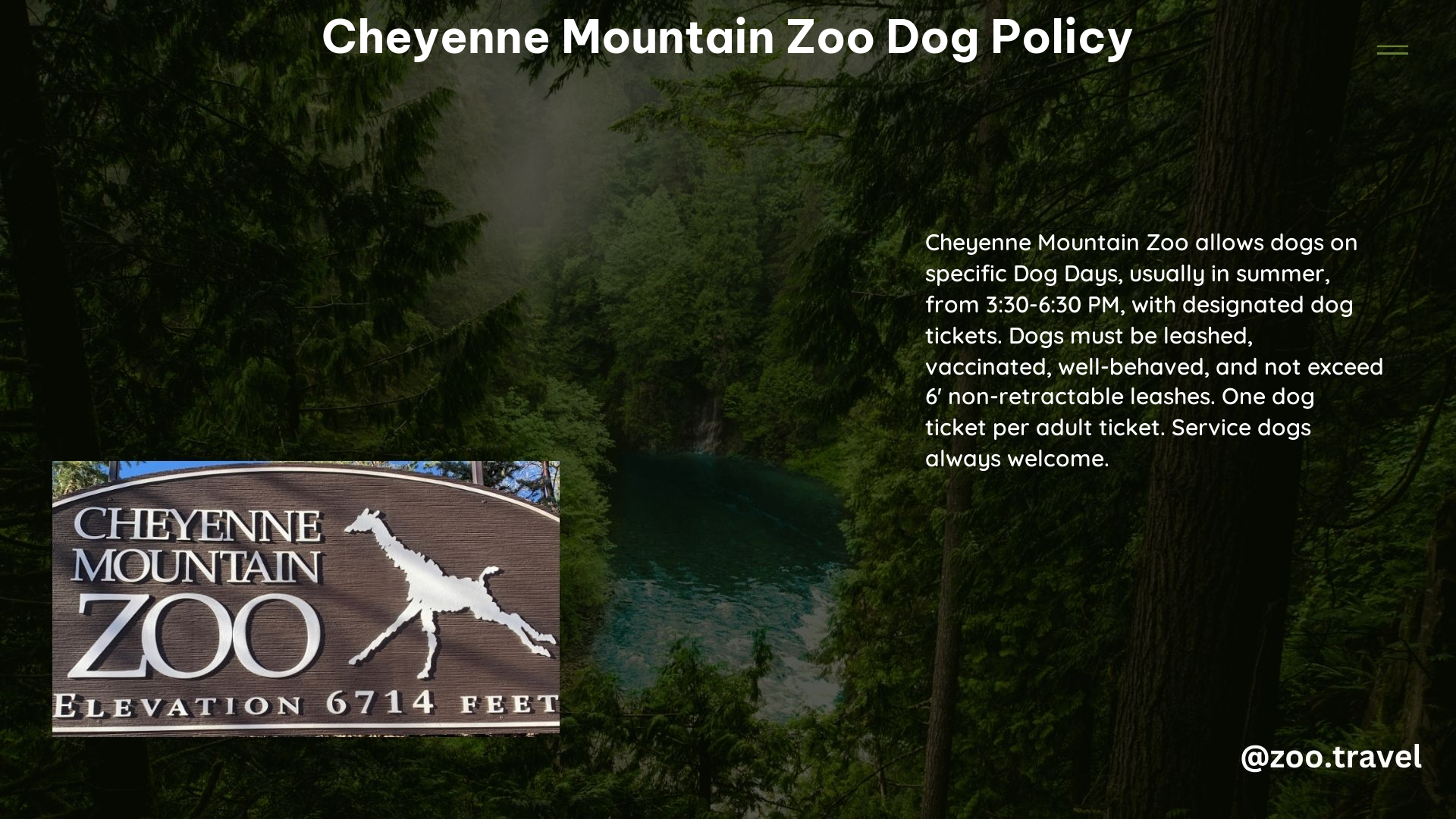 Cheyenne Mountain Zoo Dog Policy