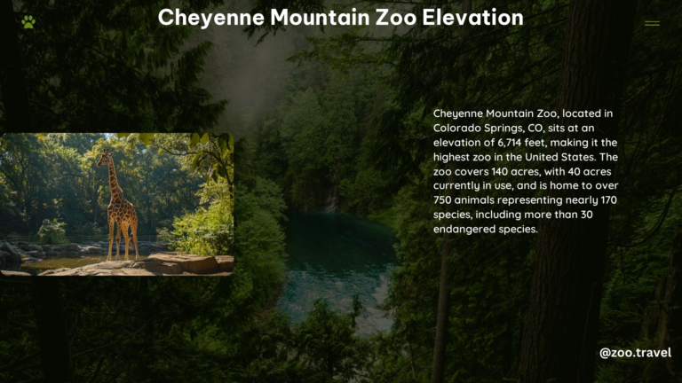 Cheyenne Mountain Zoo Elevation