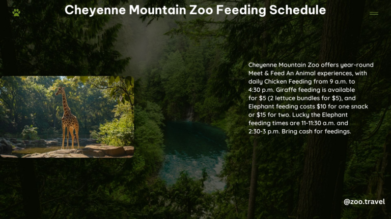 Cheyenne Mountain Zoo Feeding Schedule