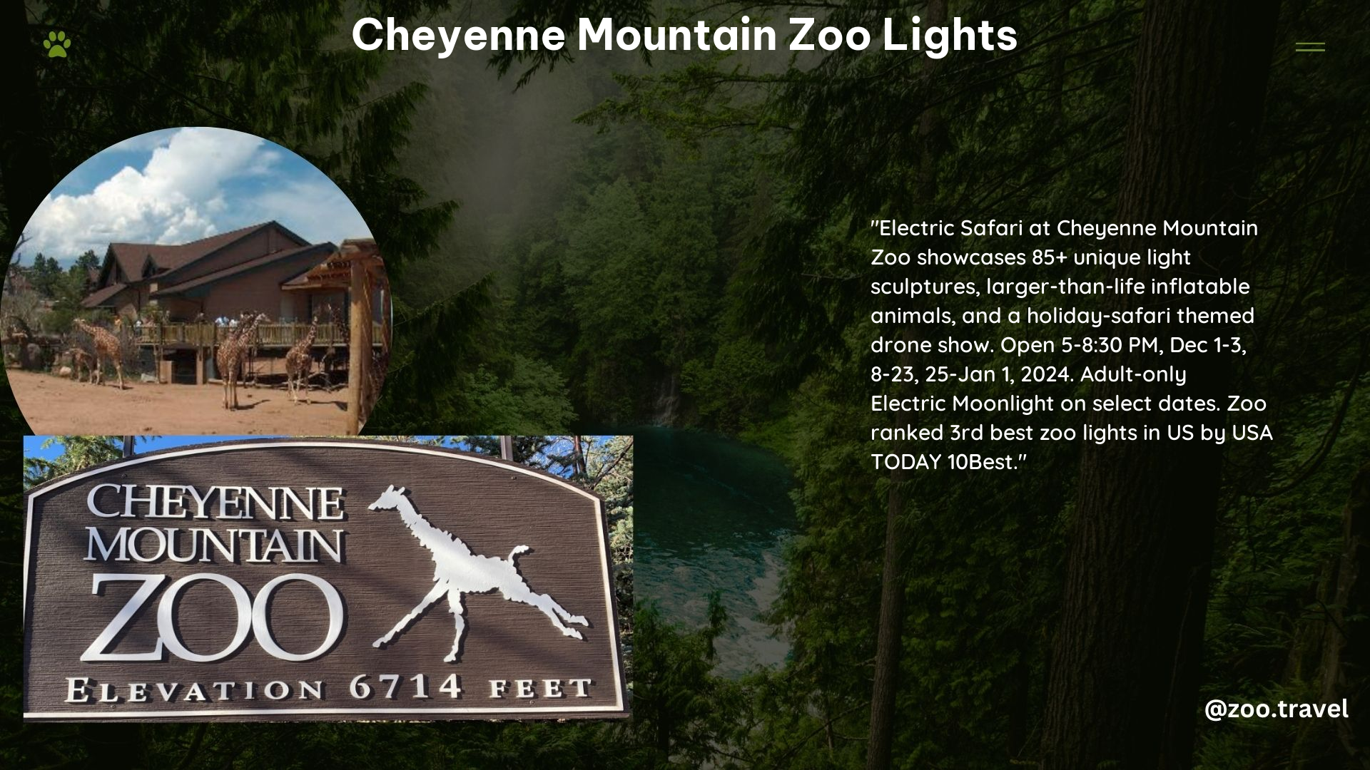 Cheyenne Mountain Zoo Lights