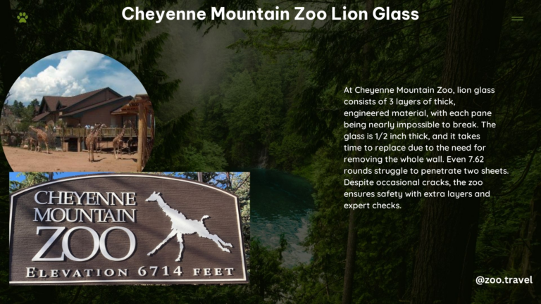 Cheyenne Mountain Zoo Lion Glass