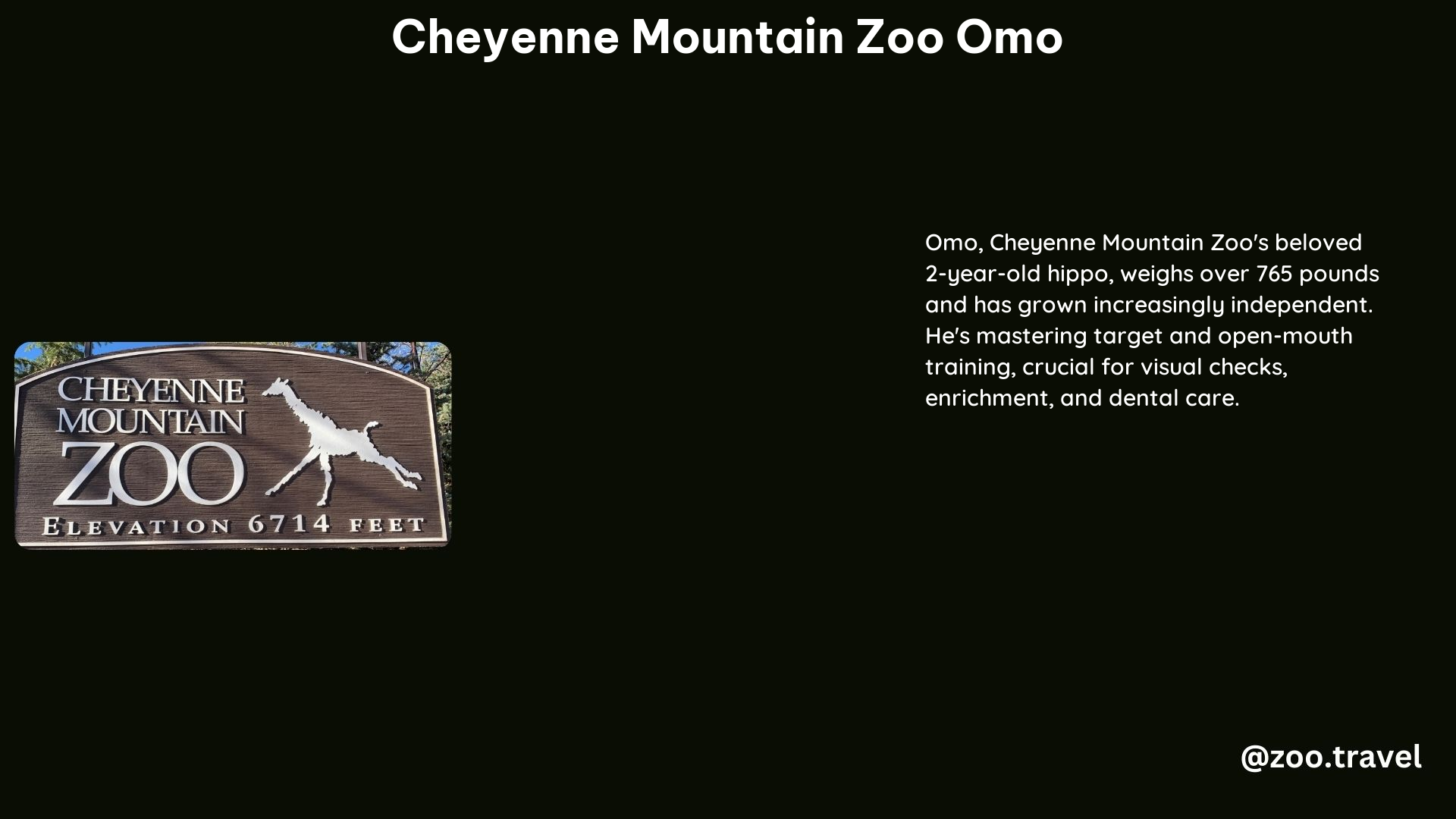 Cheyenne Mountain Zoo Omo