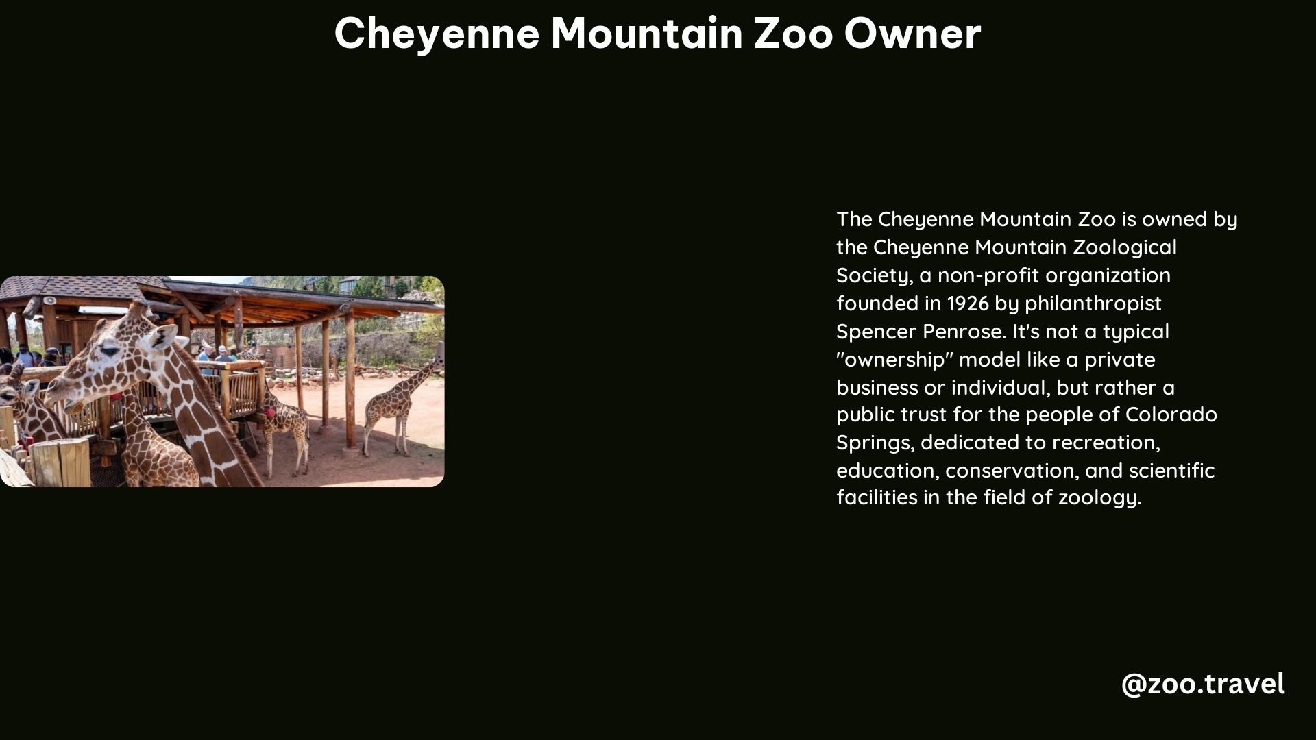 Cheyenne Mountain Zoo Owner’s Incredible 5 Secrets Revealed! – zoo.travel