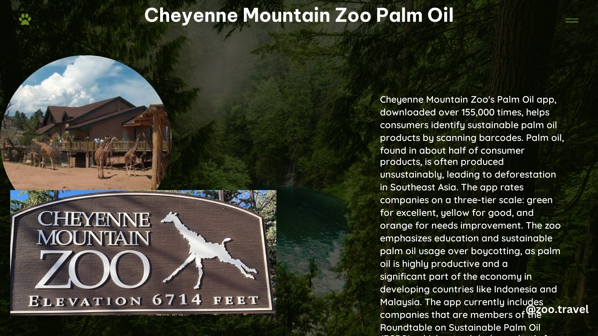 Cheyenne Mountain Zoo Palm Oil