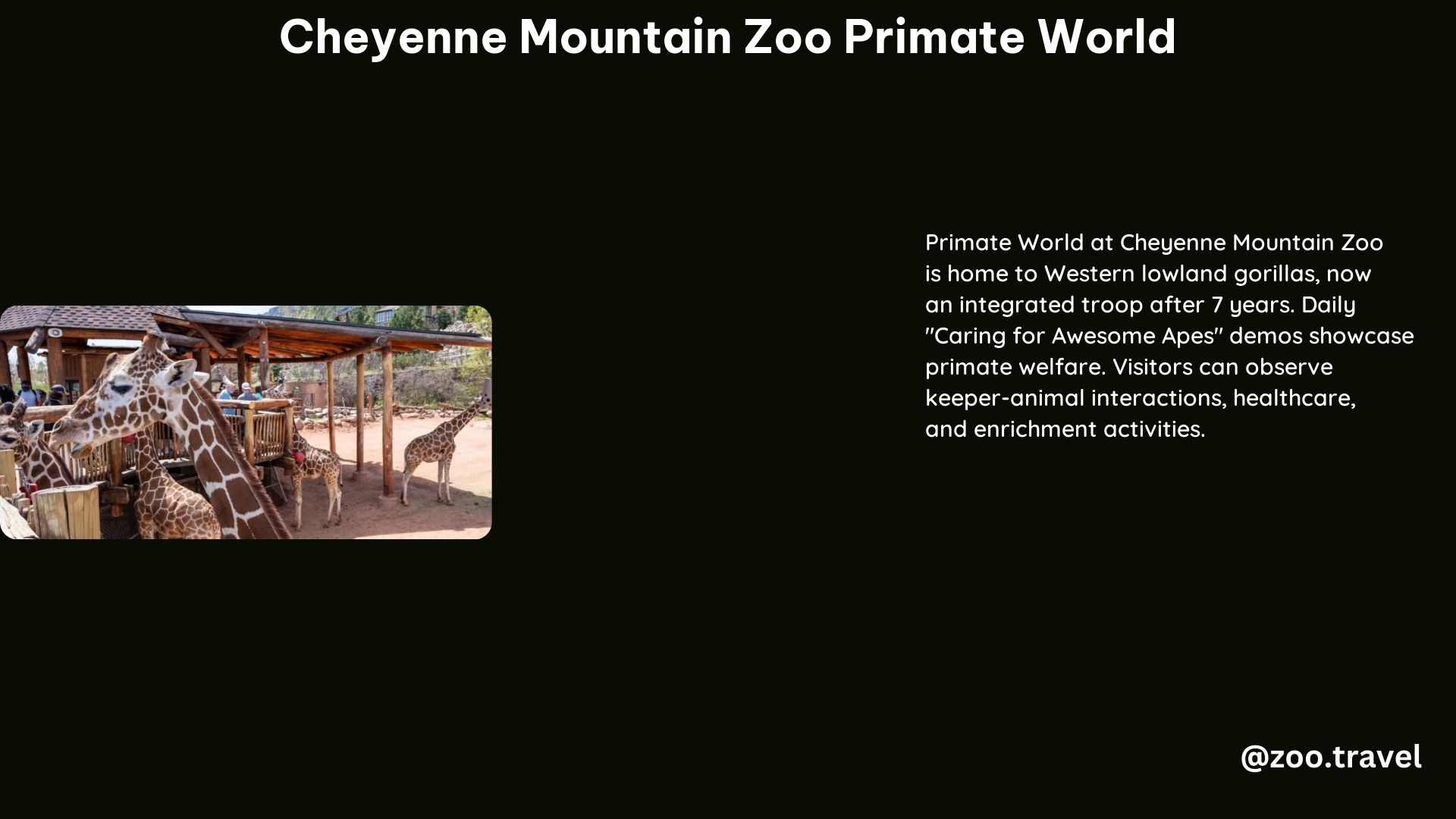 Cheyenne Mountain Zoo Primate World