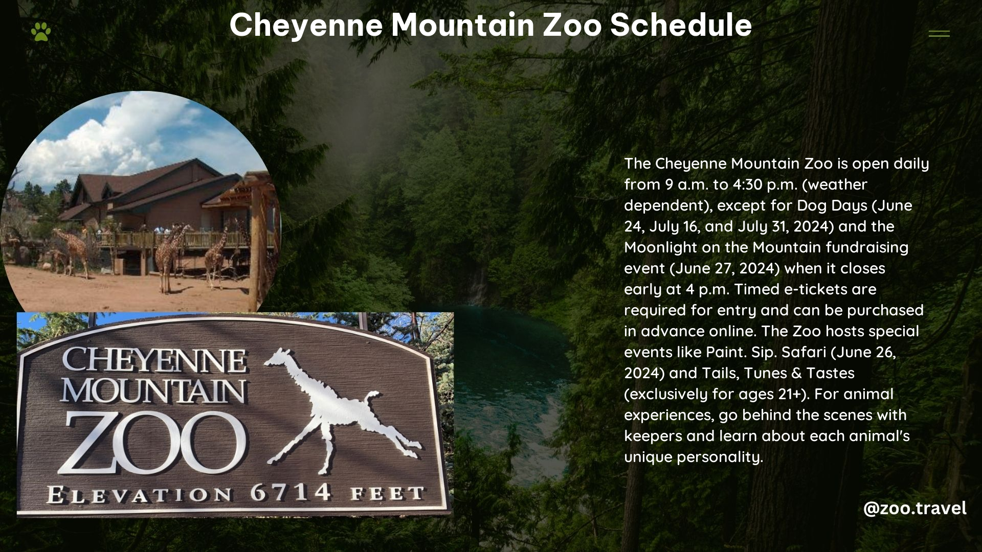 Cheyenne Mountain Zoo Schedule