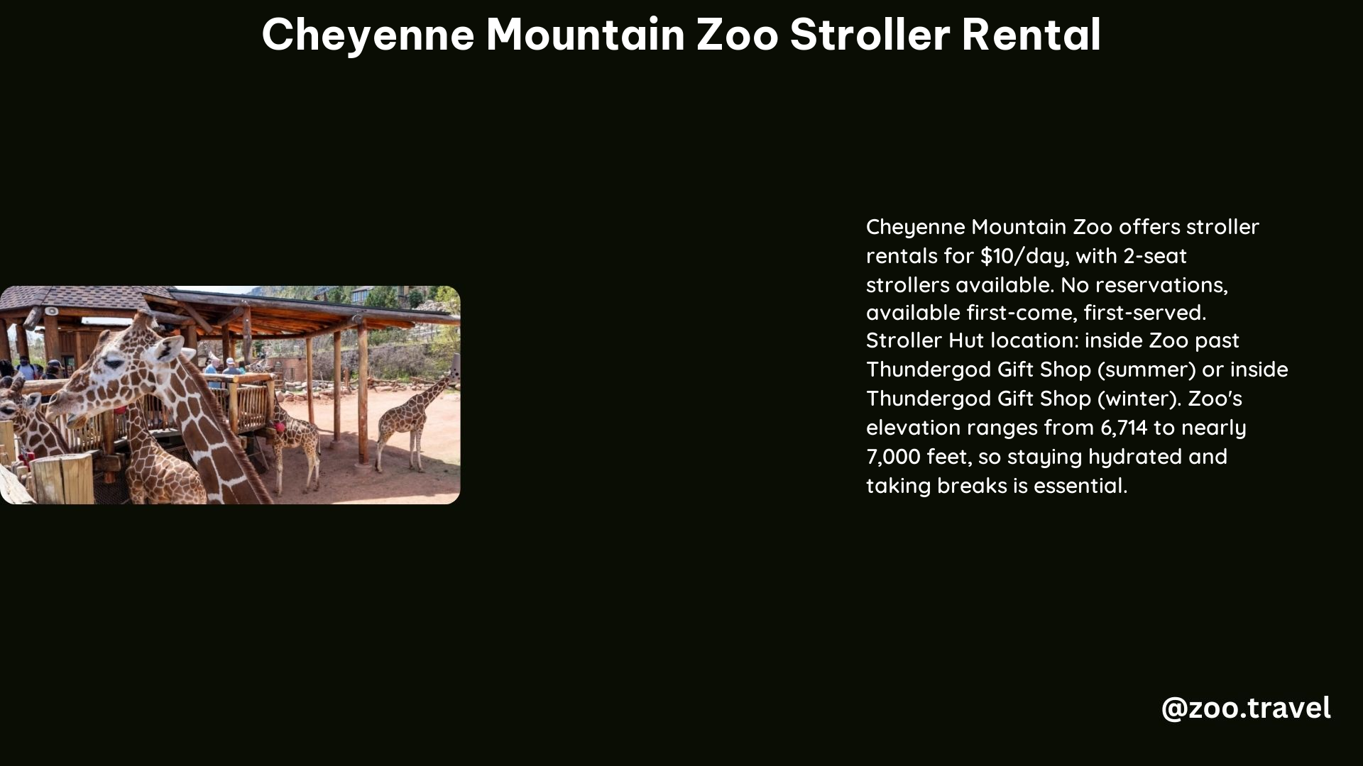 Cheyenne Mountain Zoo Stroller Rental