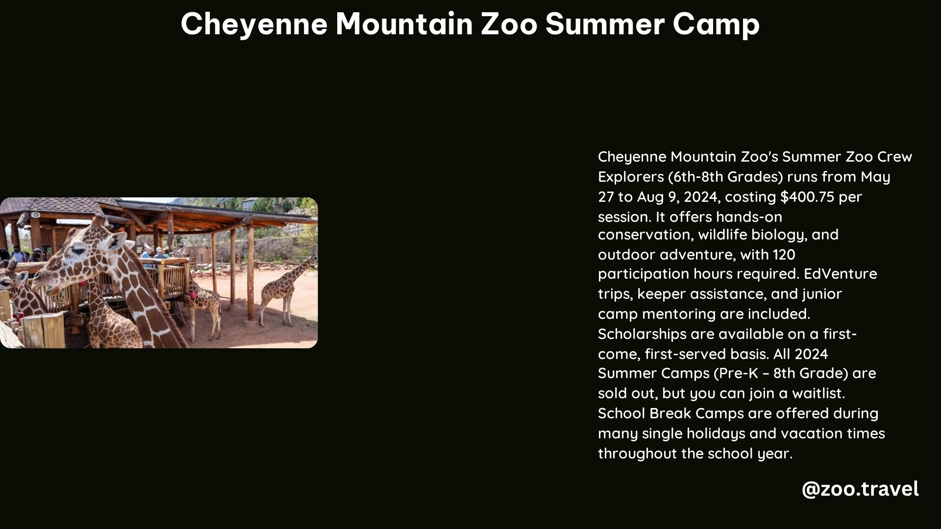 Cheyenne Mountain Zoo Summer Camp