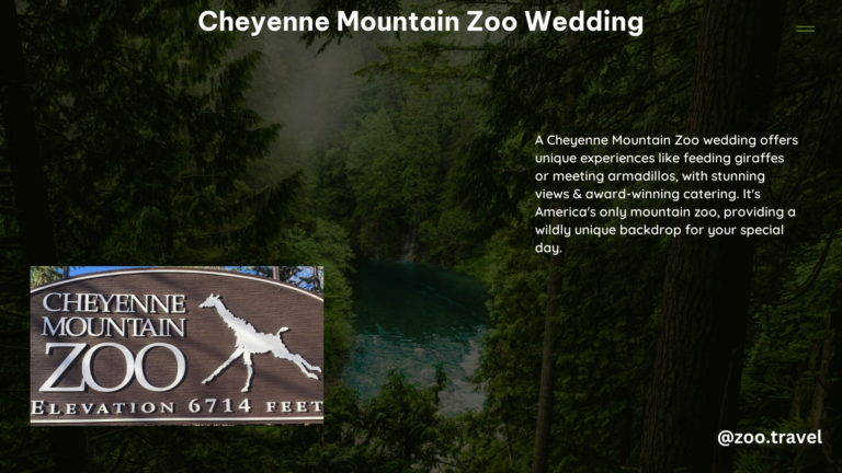 Cheyenne Mountain Zoo Wedding