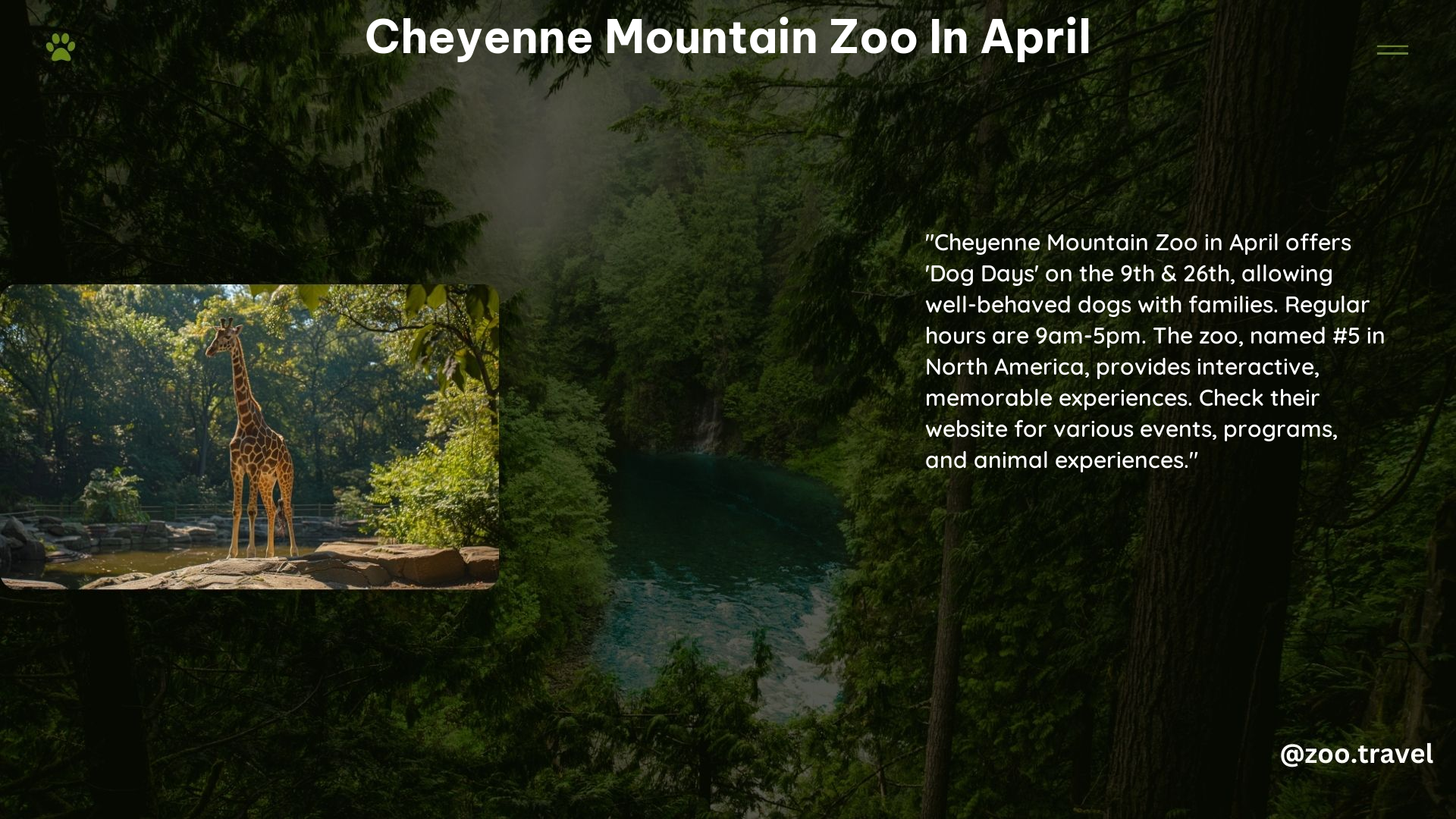 Cheyenne Mountain Zoo in April