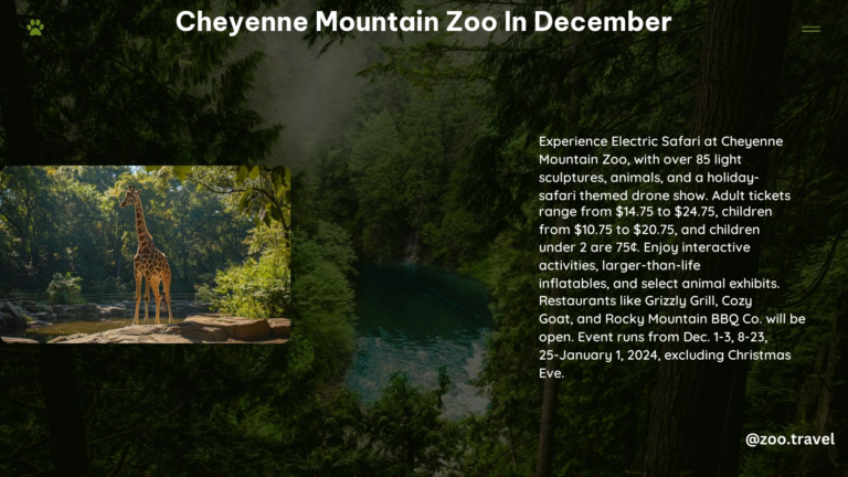 Cheyenne Mountain Zoo in December