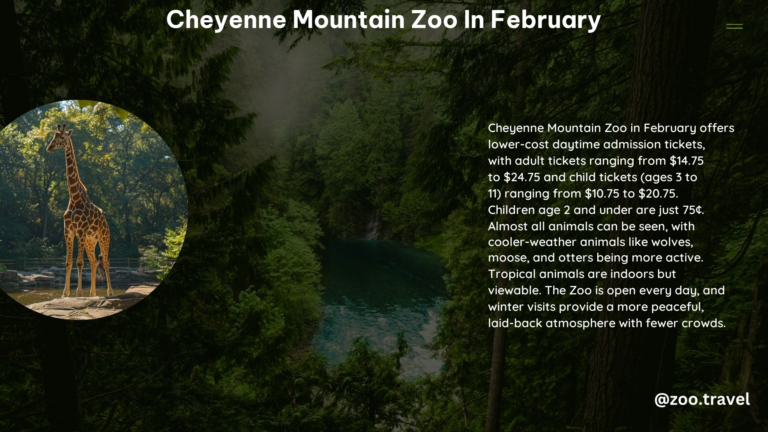 Cheyenne Mountain Zoo in February