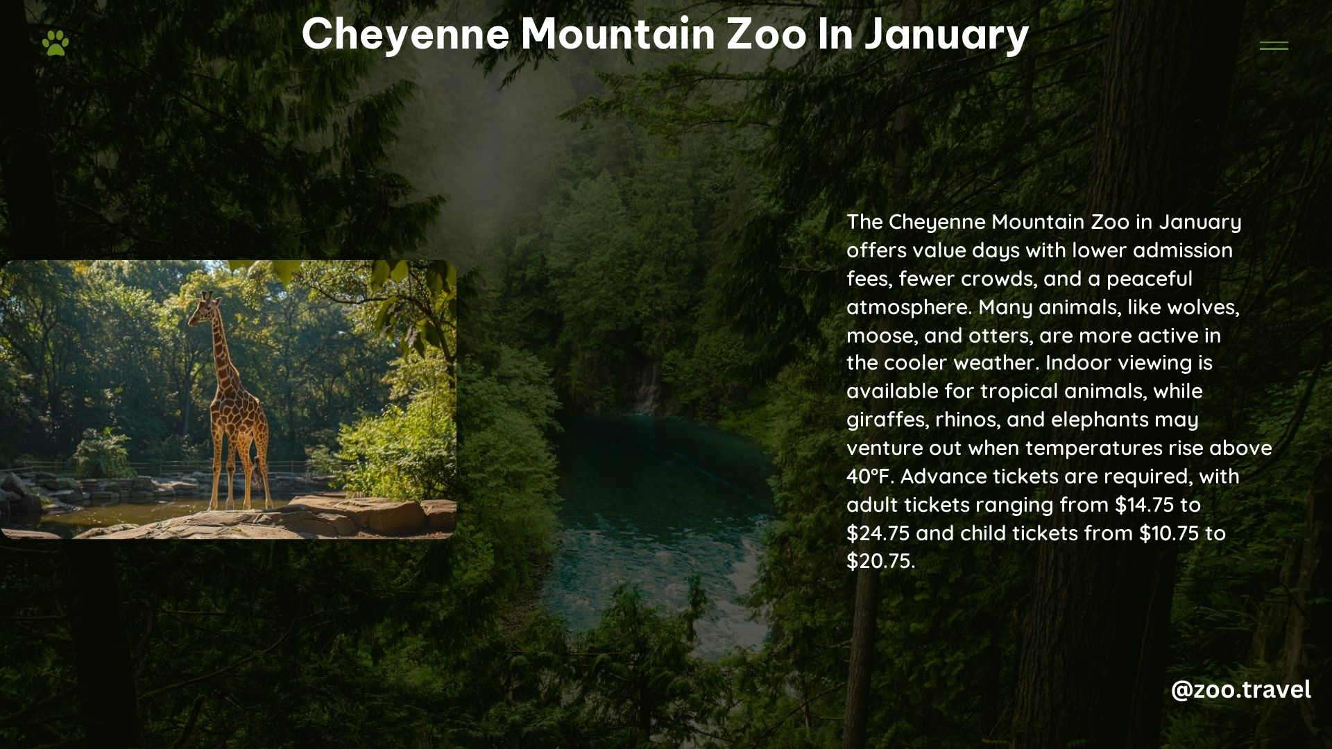 Cheyenne Mountain Zoo in January