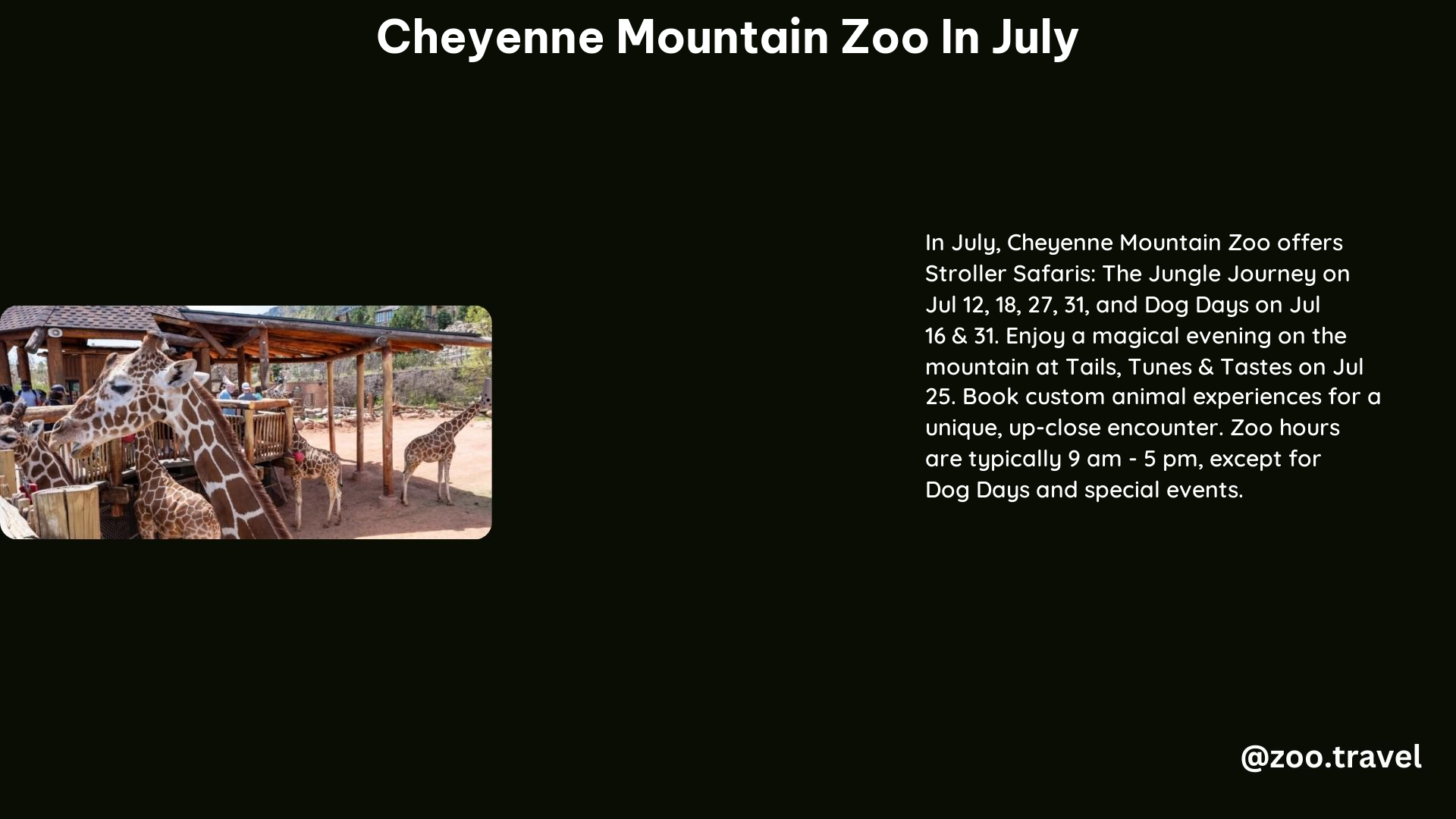 Cheyenne Mountain Zoo in July