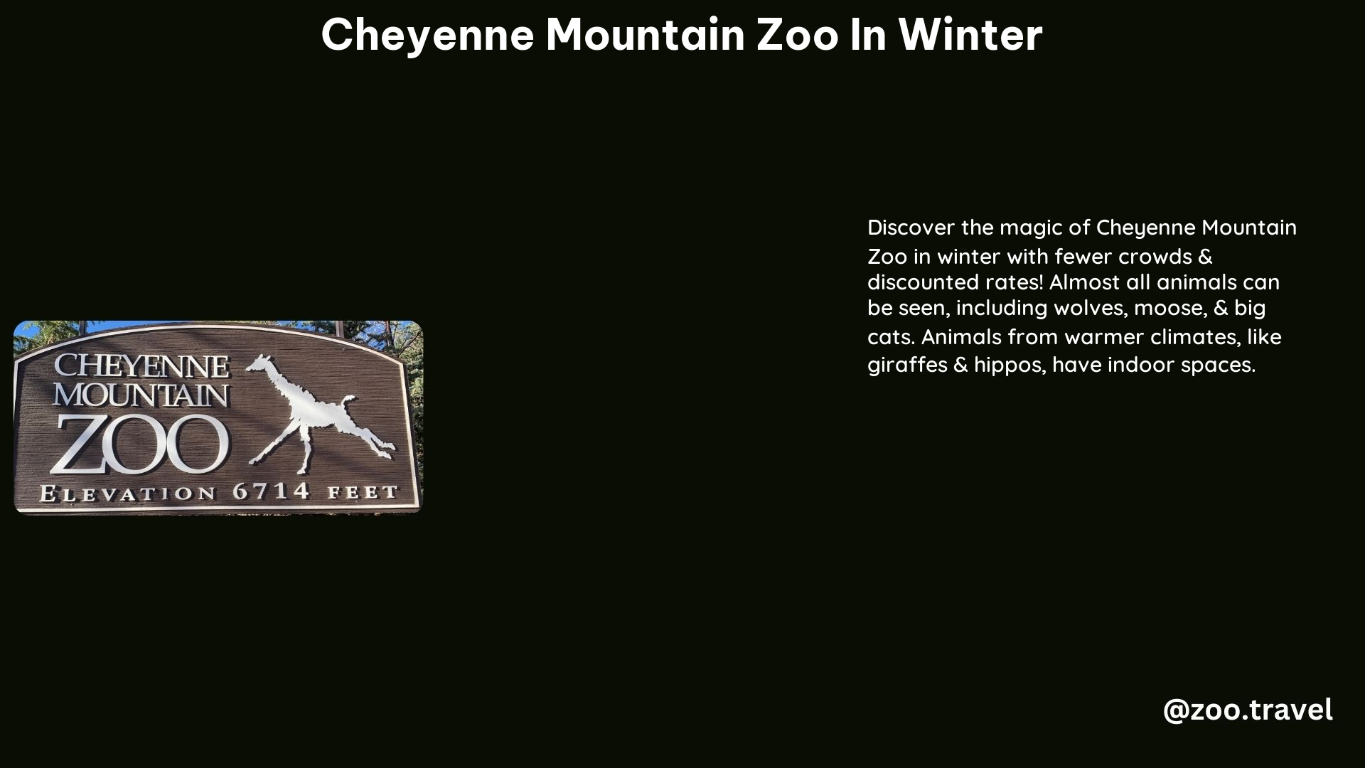 Cheyenne Mountain Zoo in Winter