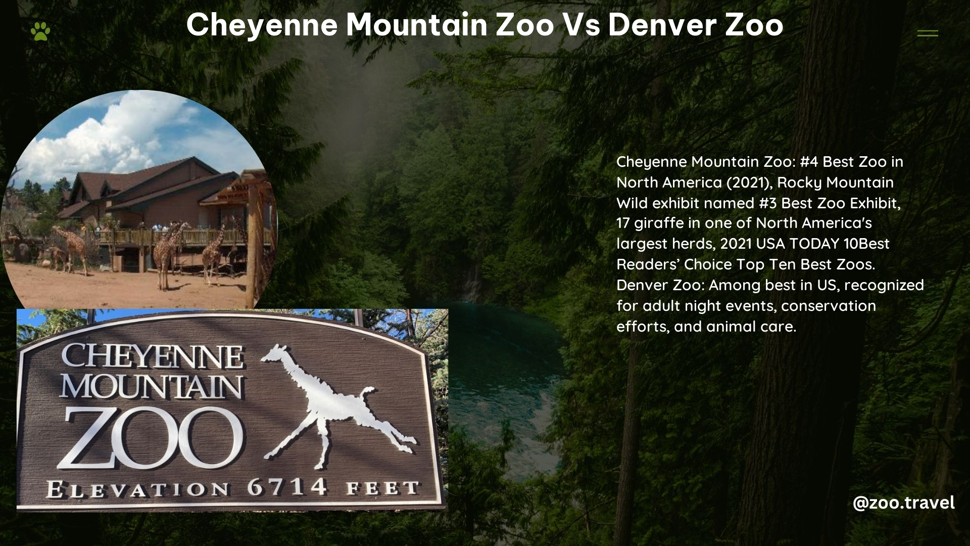 Cheyenne Mountain Zoo vs Denver Zoo