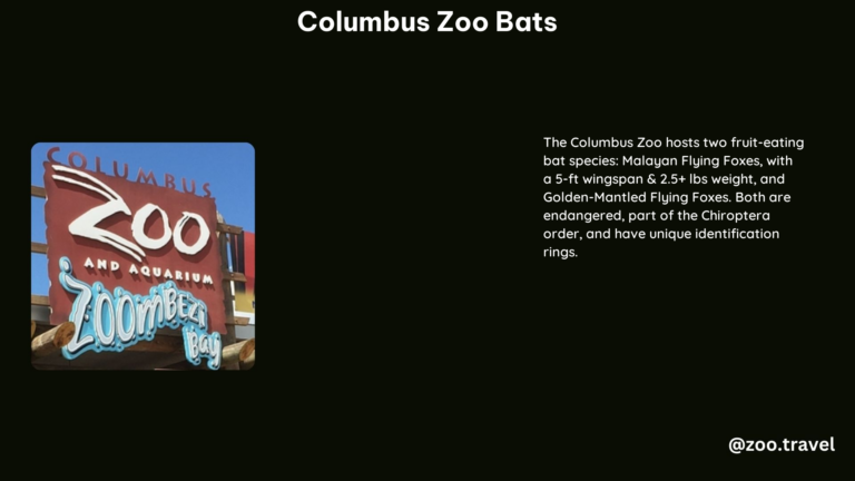 Columbus Zoo Bats