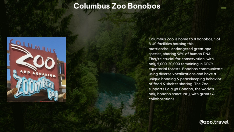 Columbus Zoo Bonobos