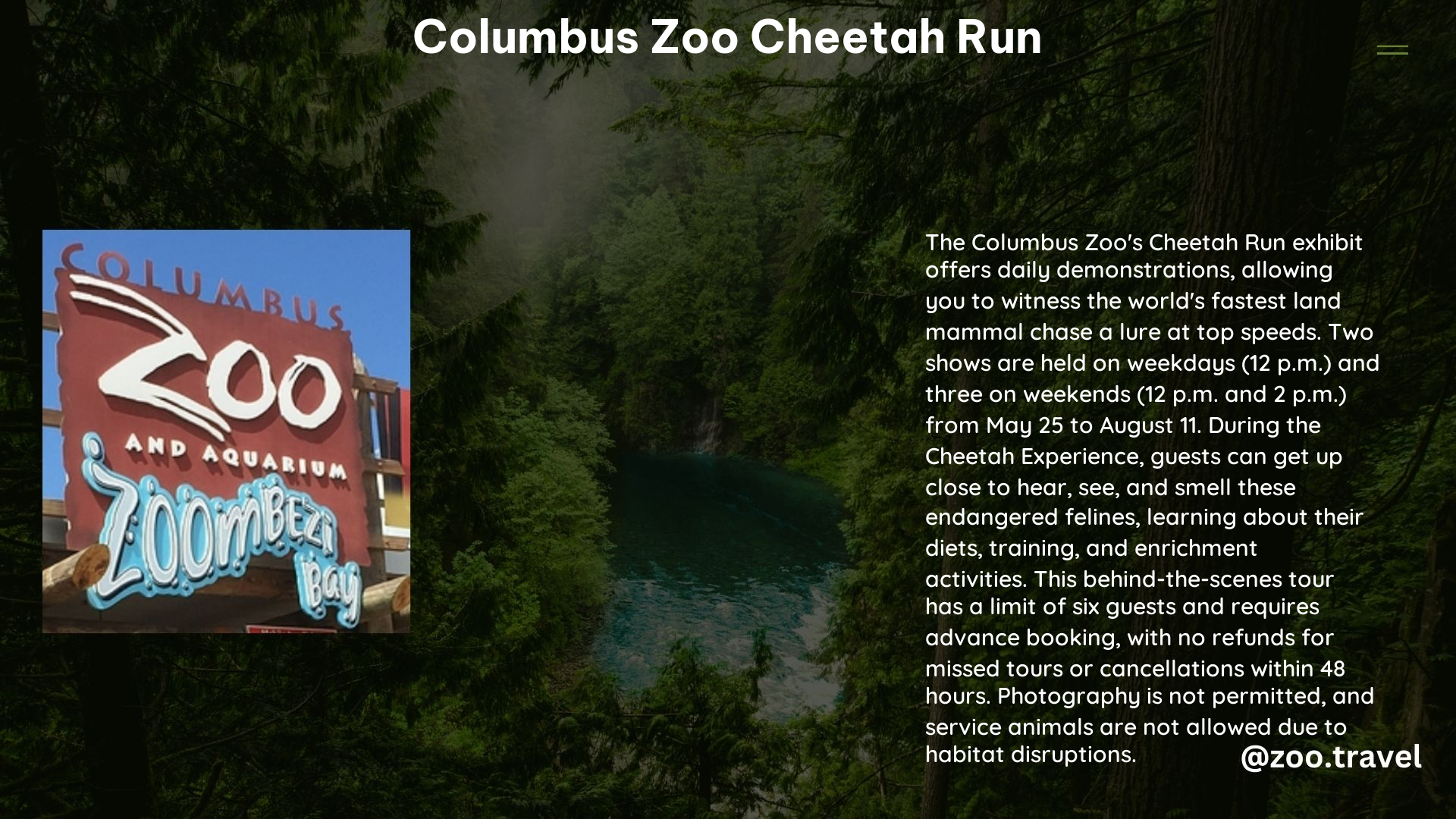 Columbus Zoo Cheetah Run