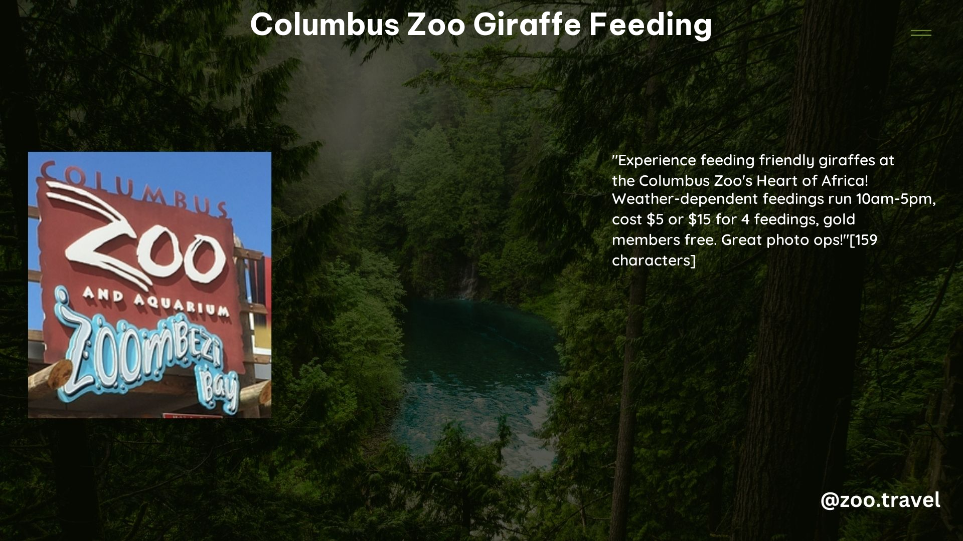 Columbus Zoo Giraffe Feeding