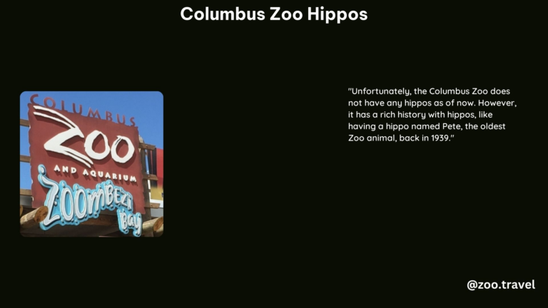 Columbus Zoo Hippos