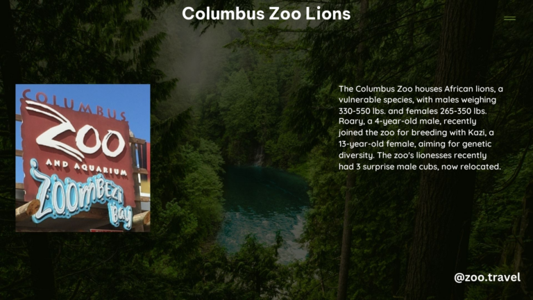 Columbus Zoo Lions