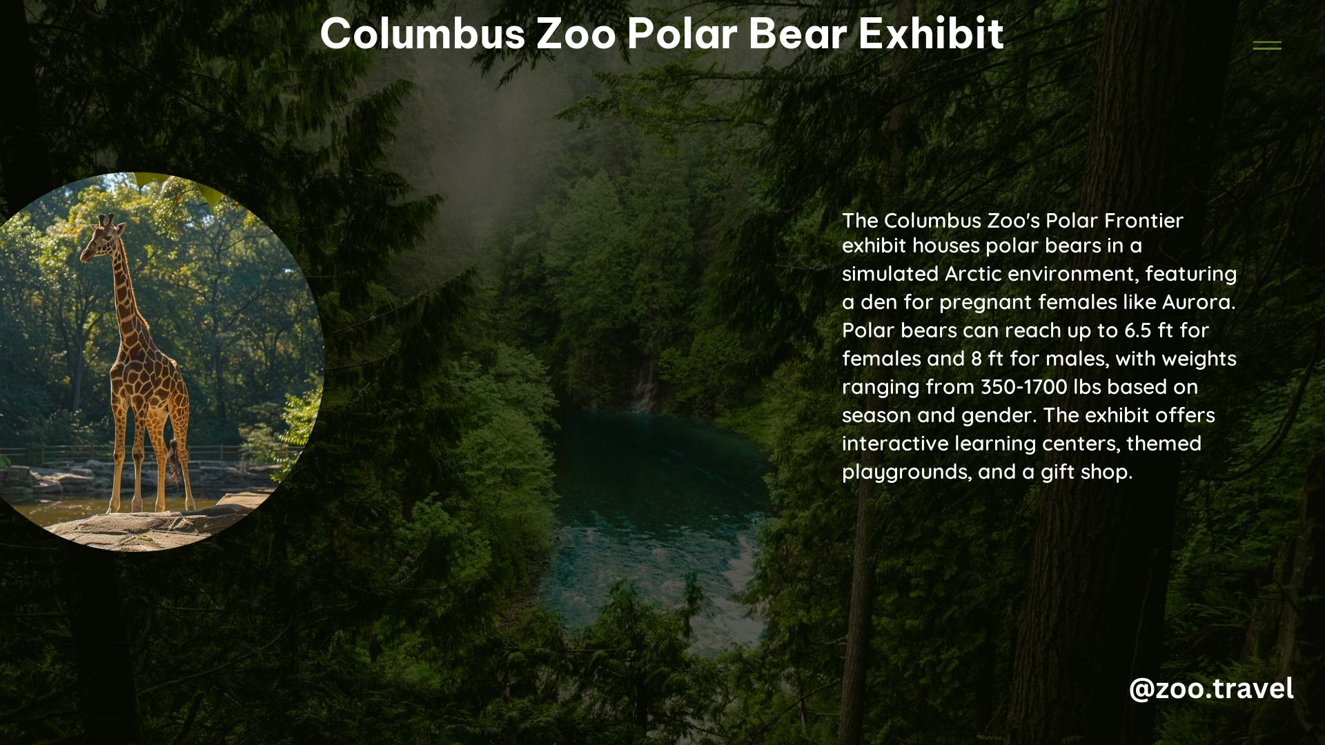 Columbus Zoo Polar Bear Exhibit