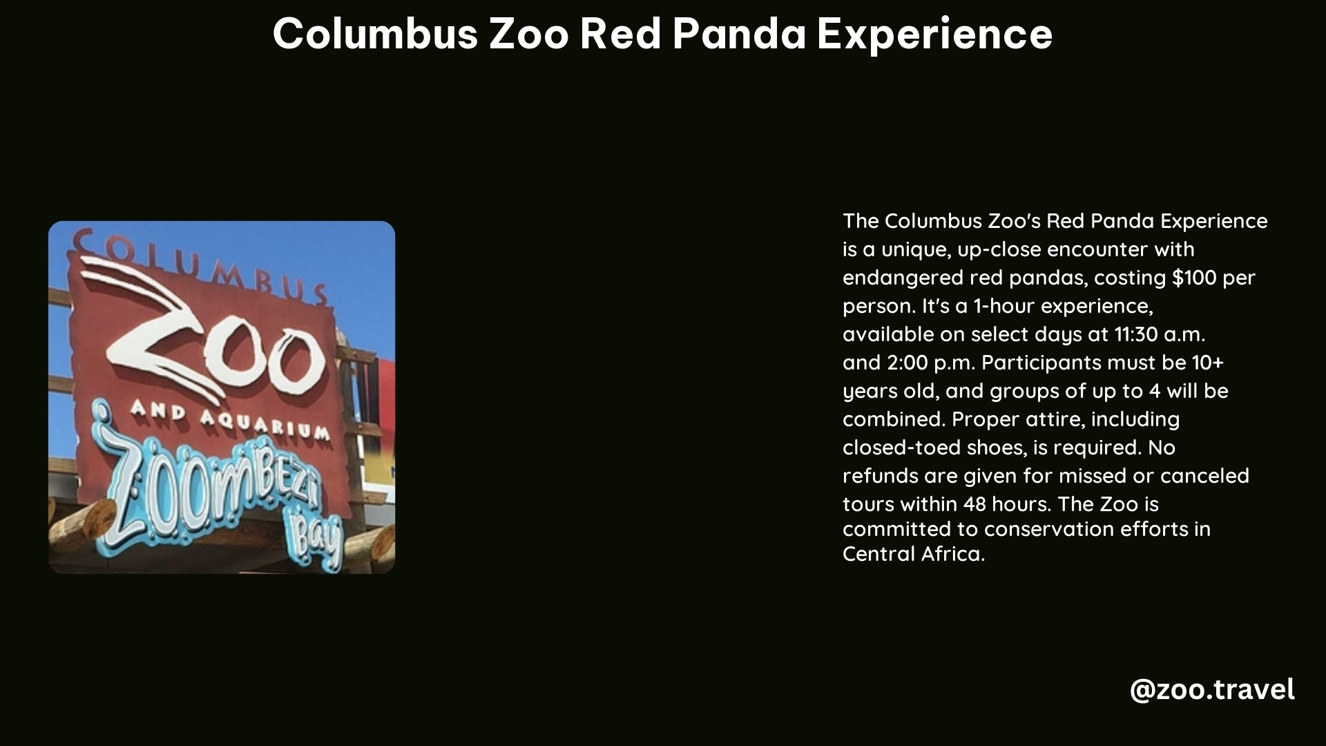 Columbus Zoo Red Panda Experience