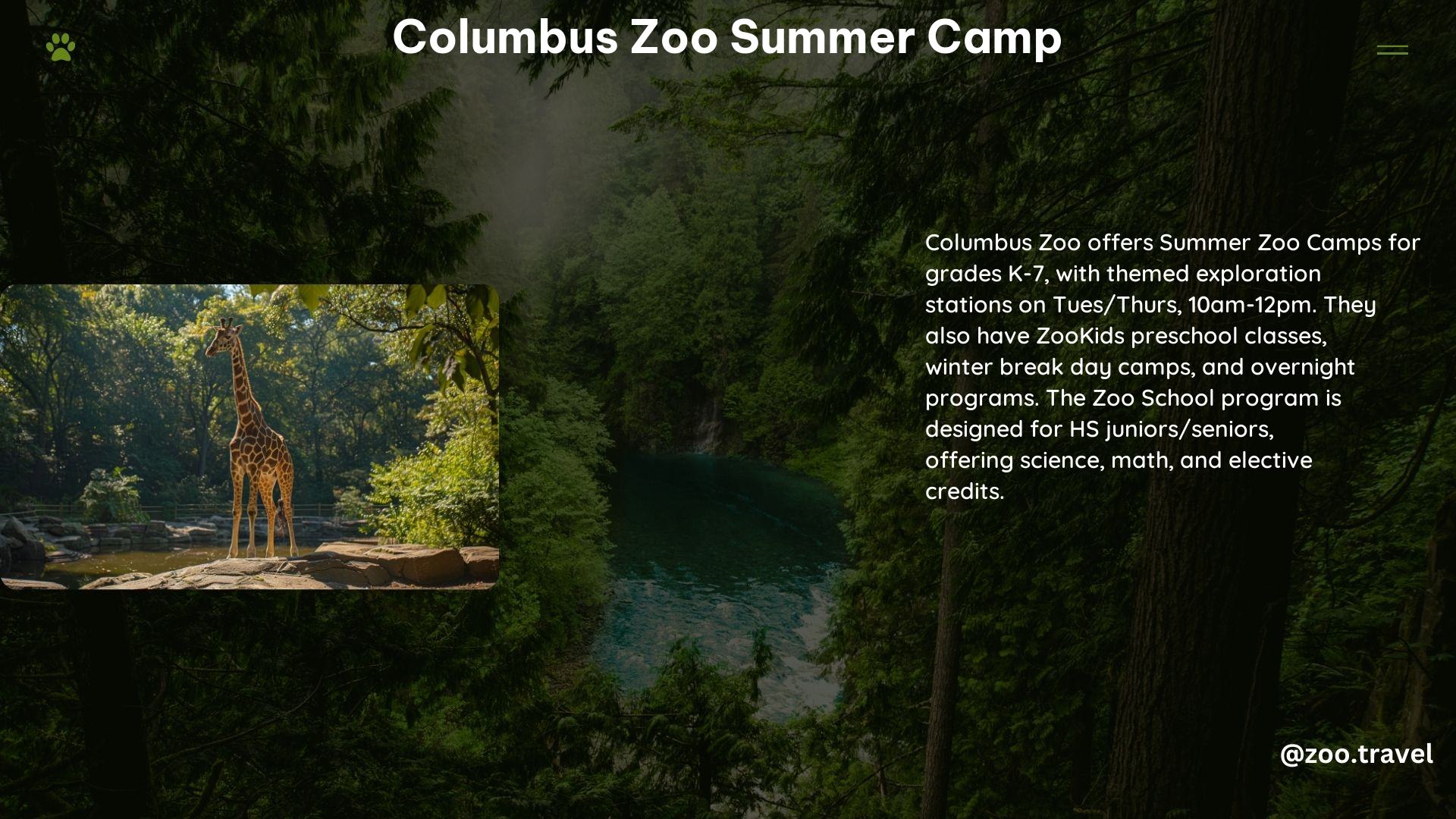 Columbus Zoo Summer Camp