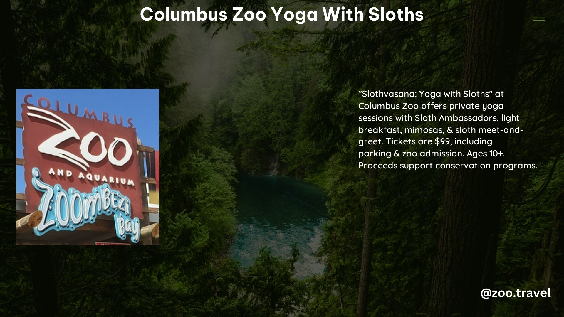 Columbus Zoo Yoga With Sloths