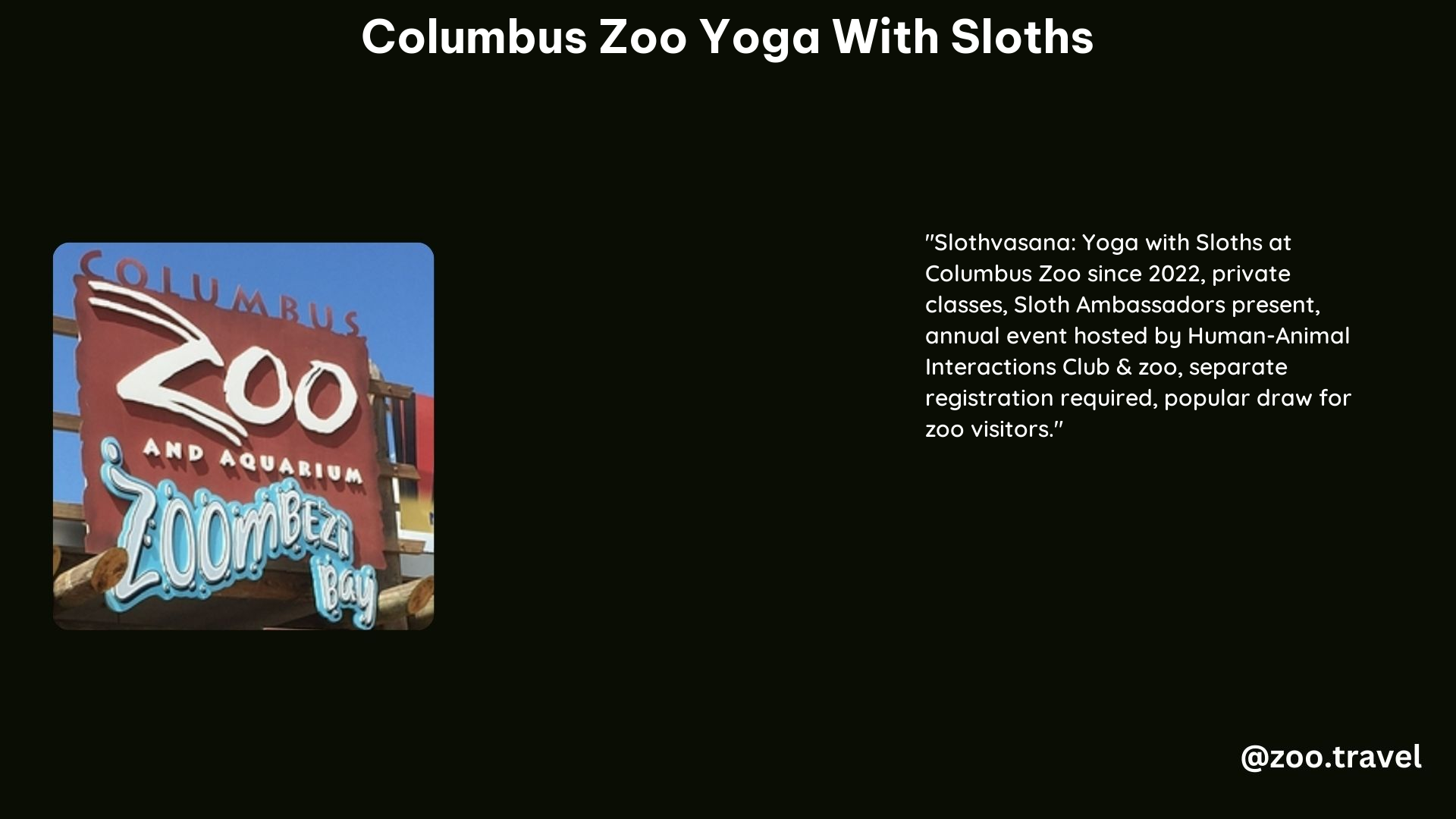 Columbus Zoo Yoga With Sloths