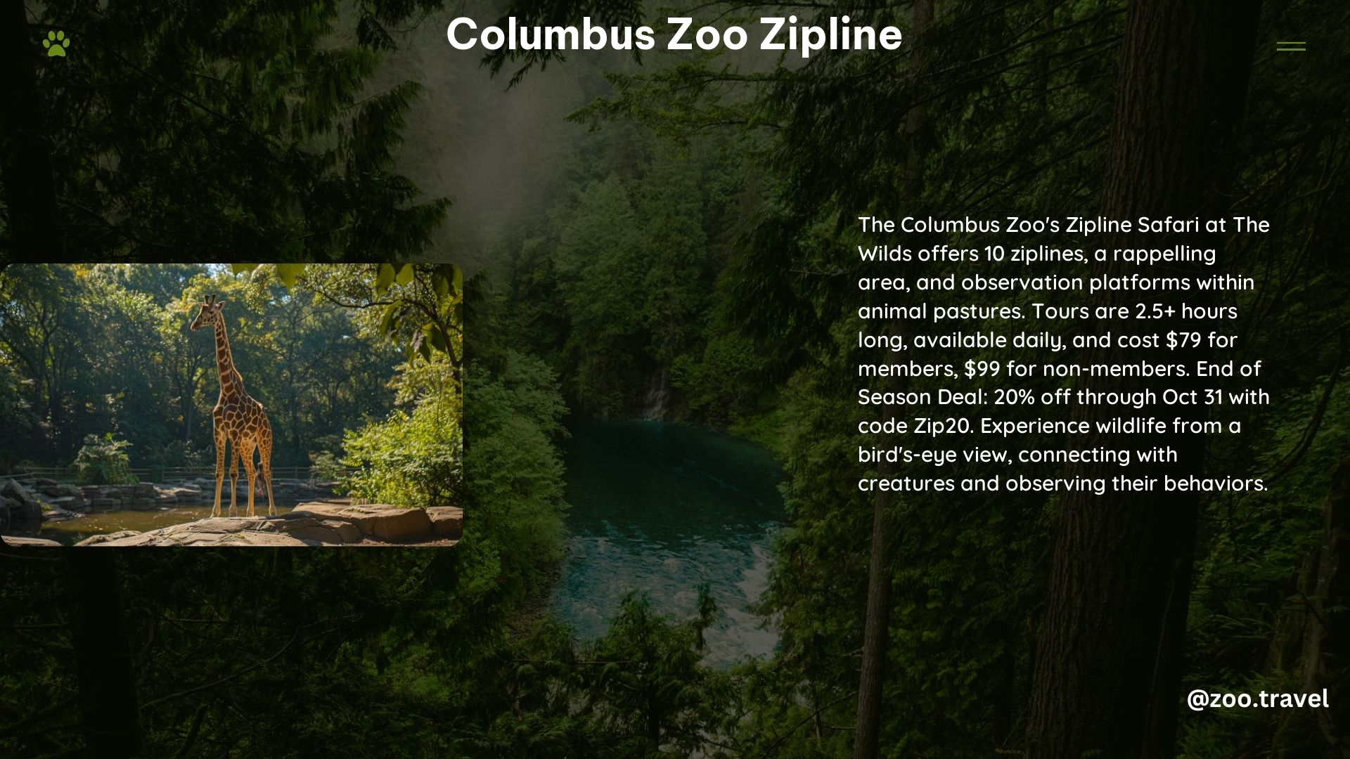 Columbus Zoo Zipline