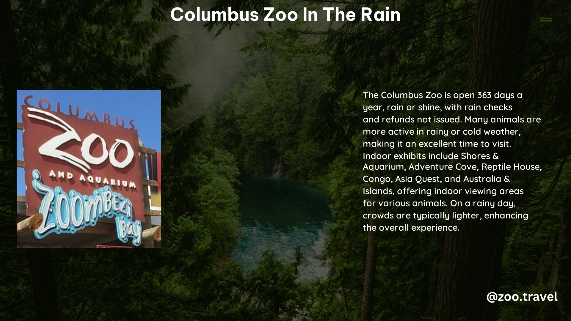 Columbus Zoo in the Rain