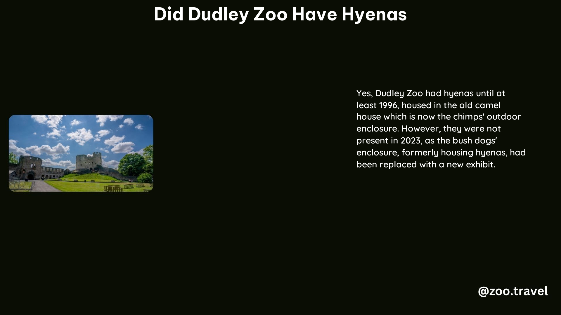 Did Dudley Zoo Have Hyenas