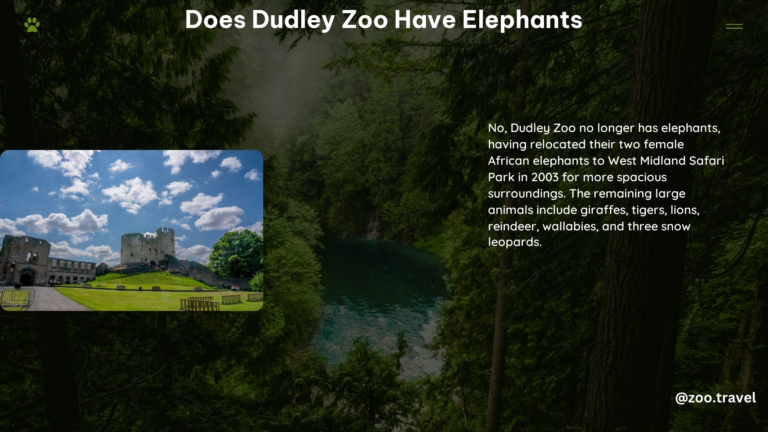 Does Dudley Zoo Have Elephants