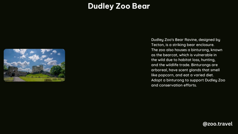 Dudley Zoo Bear