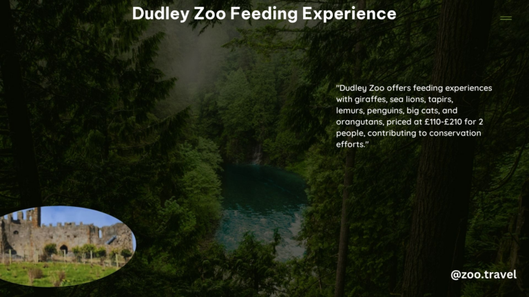 Dudley Zoo Feeding Experience